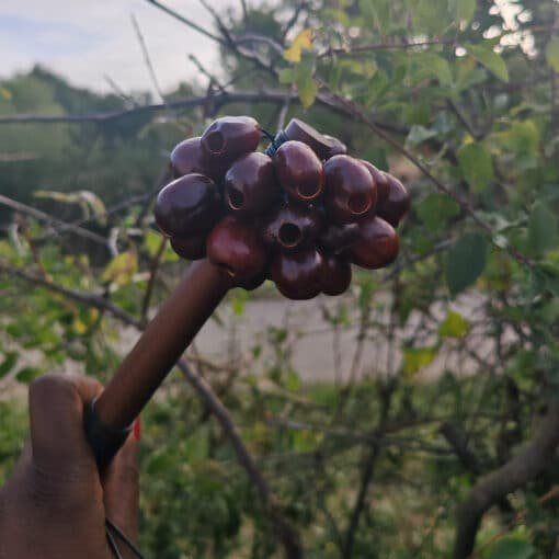 Baton grappe pour rite chamanique par onde angeline