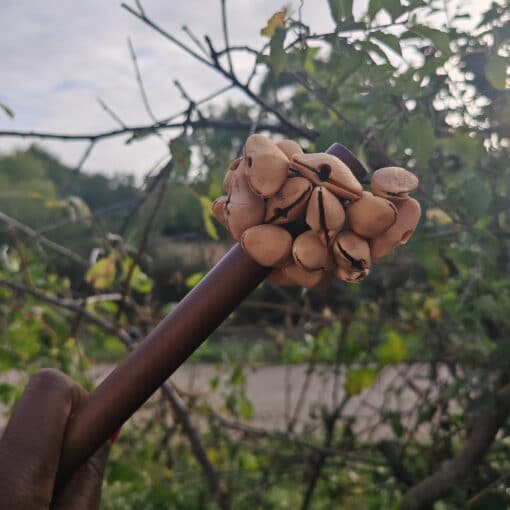 One angeline tenant un baton chamane