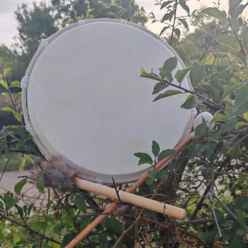 Tambour et baguette reposent dans un buisson verdoyant